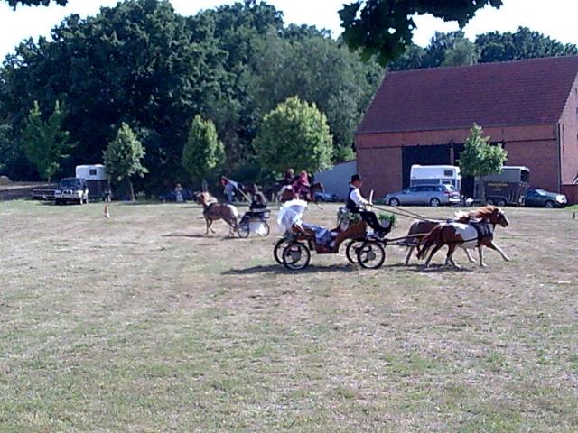 Milow0807.jpg (71329 bytes)