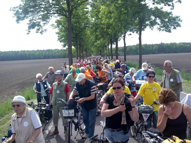 TDP0809.jpg (85582 bytes)