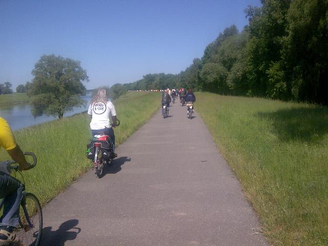 Tdp0811.jpg (44864 bytes)